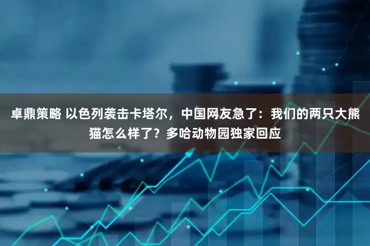 卓鼎策略 以色列袭击卡塔尔，中国网友急了：我们的两只大熊猫怎么样了？多哈动物园独家回应