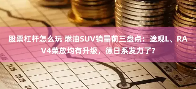 股票杠杆怎么玩 燃油SUV销量前三盘点：途观L、RAV4荣放均有升级，德日系发力了?